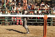 IMG_3841 