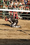IMG_3842 