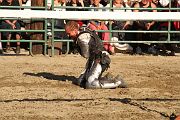 IMG_3843 
