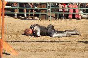IMG_3844 