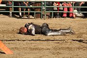 IMG_3845 