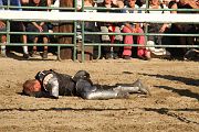 IMG_3846 