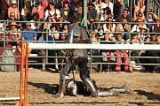 IMG_3848 