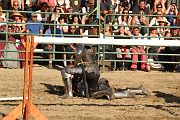 IMG_3849 