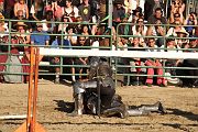 IMG_3850 