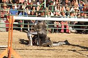 IMG_3851 