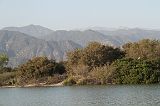 IMG_3623 