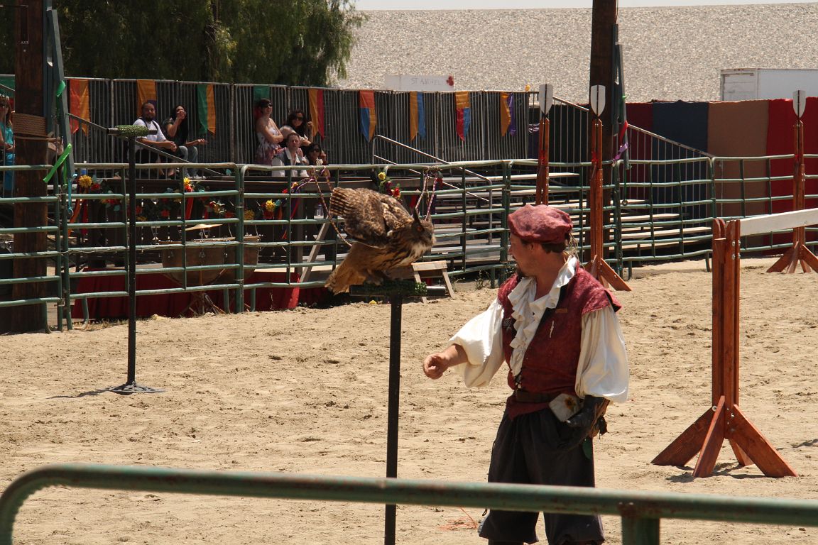 IMG_1259