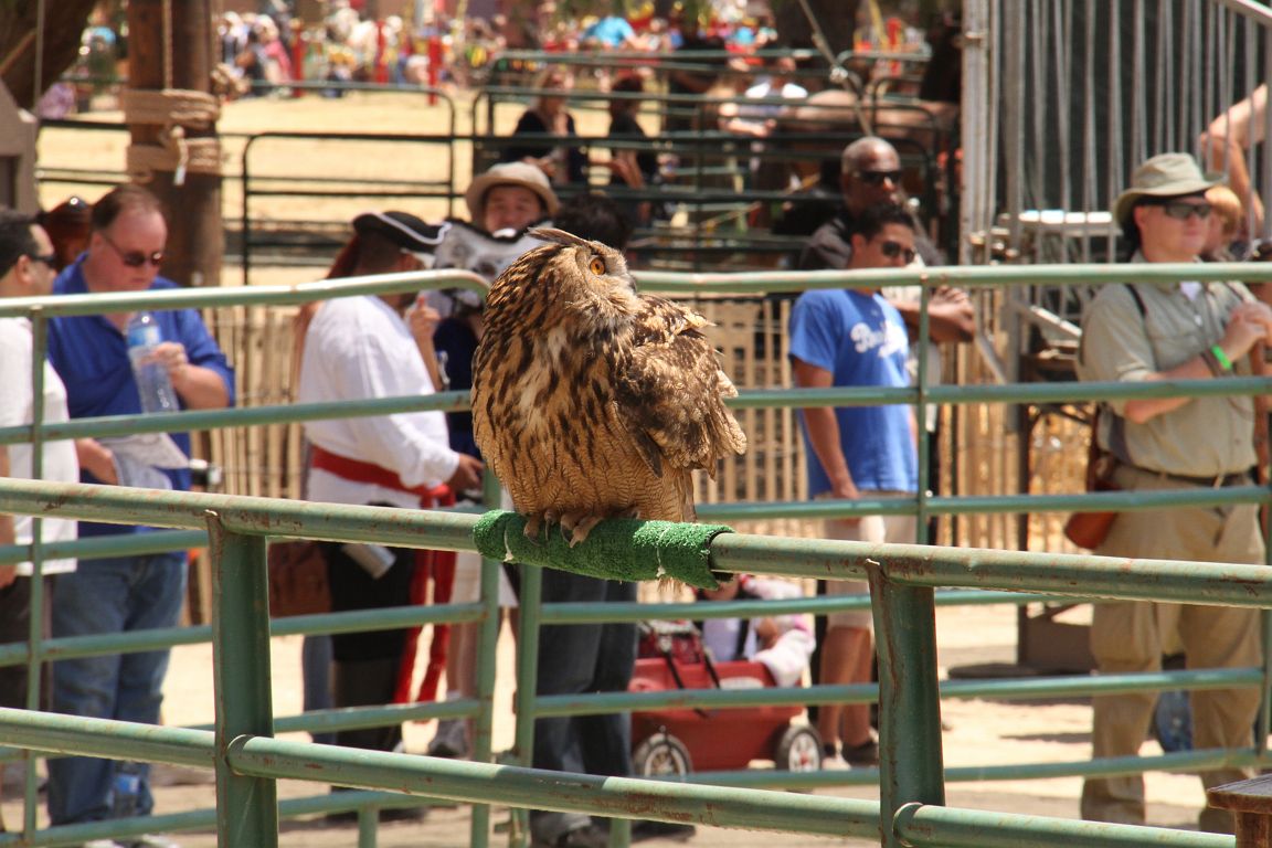 IMG_1265