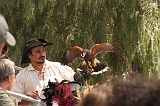 IMG_1237 