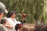 IMG_1239 