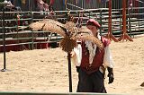 IMG_1244 