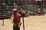 IMG_1246 