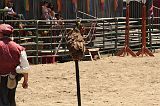 IMG_1247 