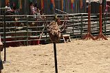 IMG_1249 