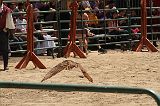 IMG_1252 
