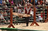 IMG_1253 