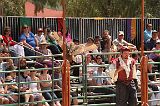 IMG_1254 