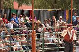 IMG_1255 