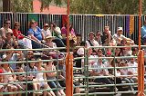 IMG_1256 