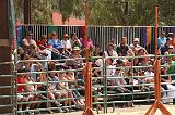 IMG_1257 