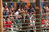 IMG_1258 