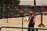 IMG_1259 