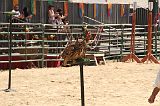 IMG_1260 