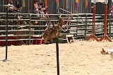 IMG_1261 