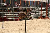 IMG_1262 