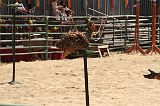 IMG_1263 