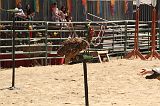 IMG_1264 