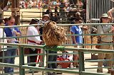 IMG_1265 