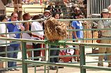 IMG_1266 