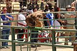 IMG_1268 