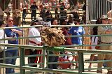IMG_1269 