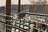 IMG_1276 