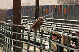 IMG_1279 