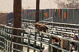 IMG_1280 
