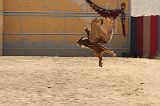 IMG_1284 
