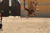IMG_1285 