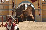 IMG_1286 