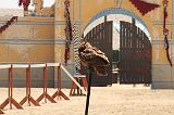 IMG_1288 