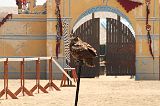 IMG_1289 