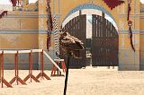 IMG_1290 