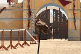 IMG_1291 