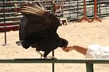 IMG_1316 