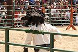 IMG_1322 