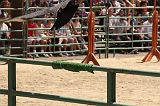 IMG_1327 