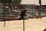 IMG_1330 